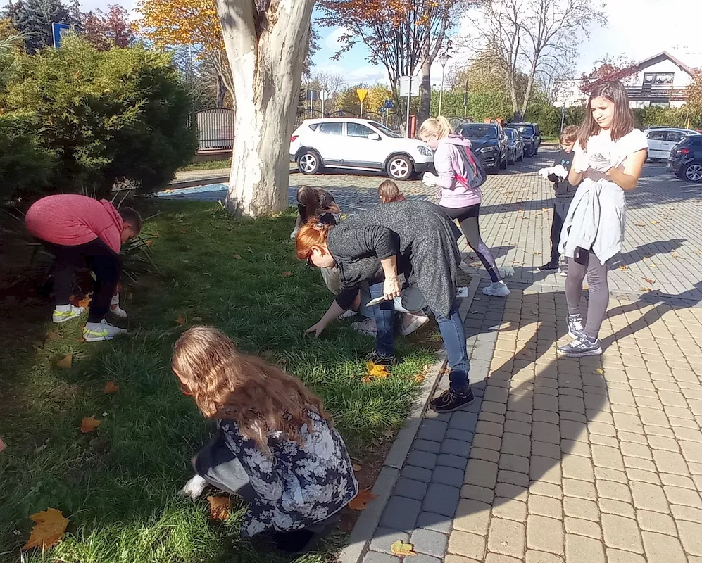 Akcja KROKUS - uczniowie i wolontariusze sadzą wraz z opiekunką SW krokusy na trawniku przed głównym wejściem do szkoły